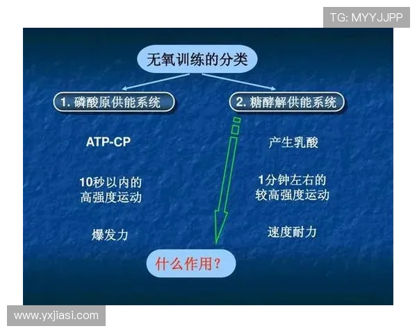 北京羽毛球队的转换打法深度分析与战术演变探讨